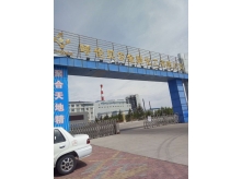 呼倫貝爾金新化工有限公司料斗倉(cāng)加固項(xiàng)目